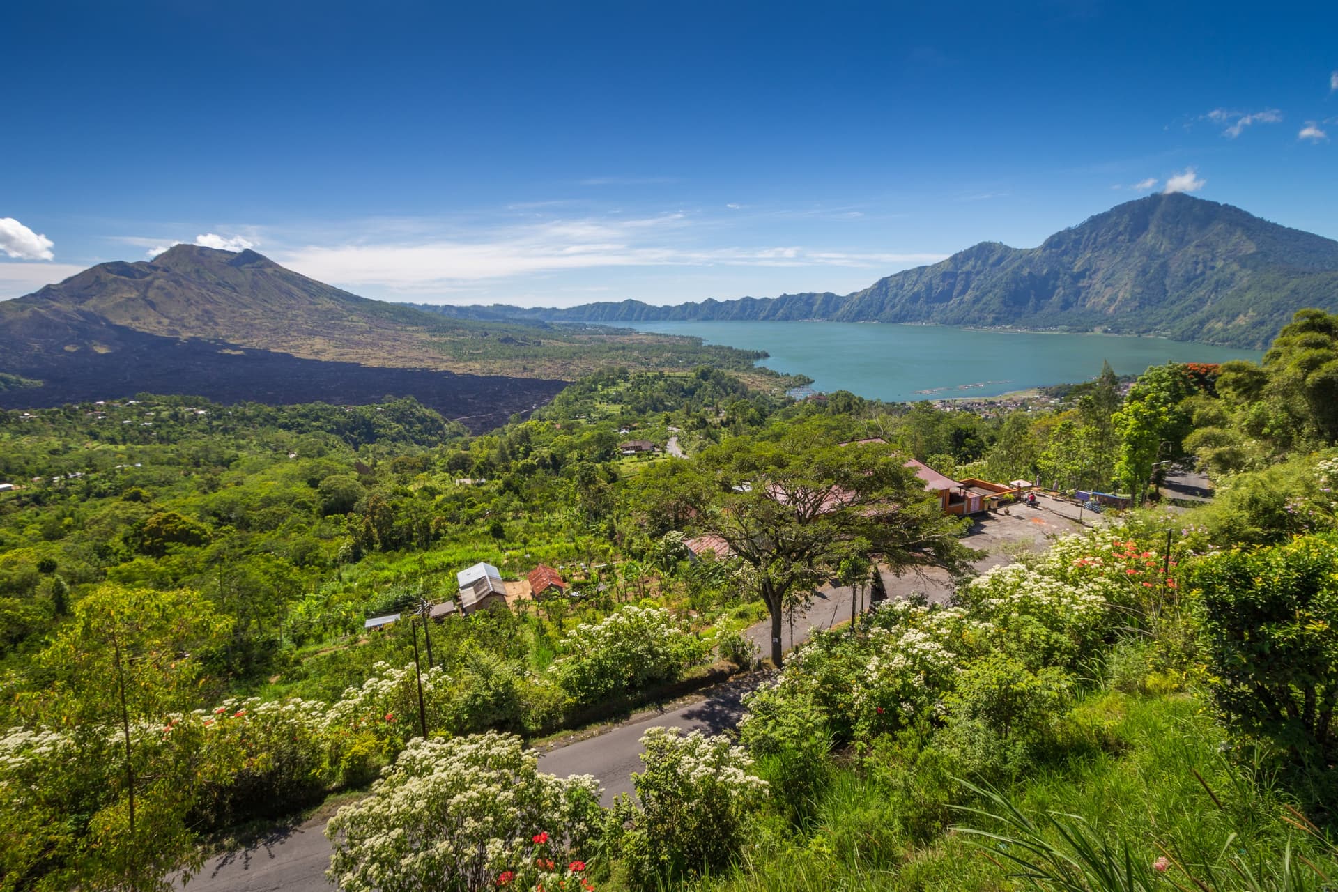 kintamani titre