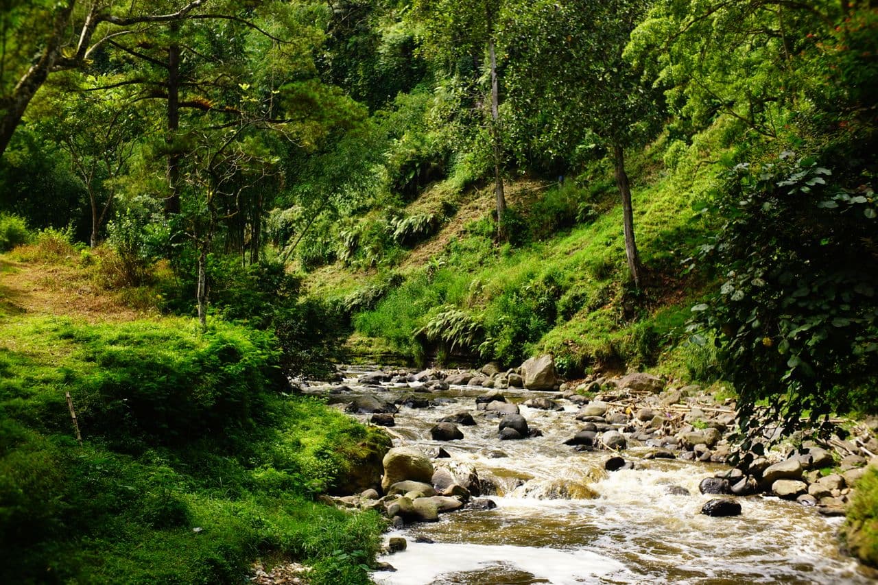 Parc national de Lore Lindu