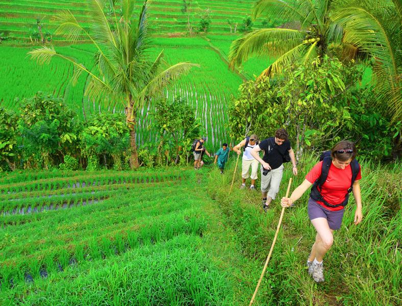 Les 10 Meilleurs Treks d’Indonésie