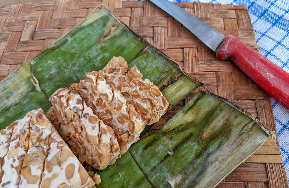 Qu'est-ce que le Tempeh ?