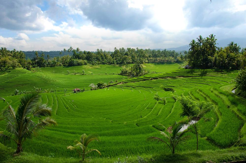Bali Circuits une marque Azimuth Aventure Travel Ltd