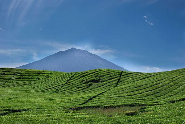 Les plus beaux volcans d'Indonésie