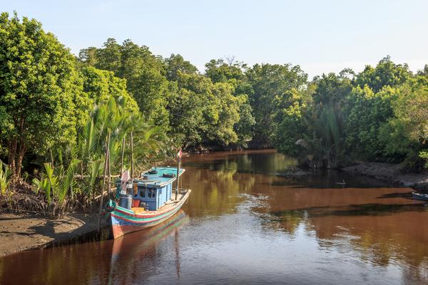 Rivière traversant la jungle de Kalimantan, à Bornéo