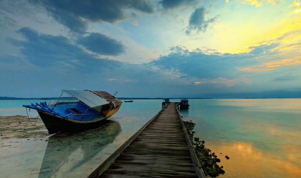 Top 5 des activités de nature à Bornéo