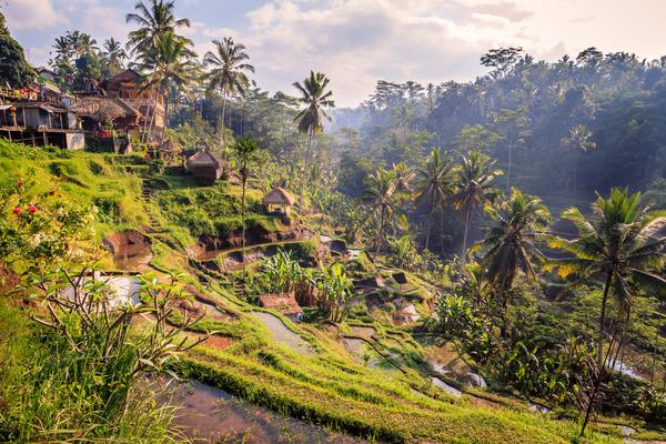 Paysages dans les environs d'Ubud, photo © Christophe Faugere via Shutterstock